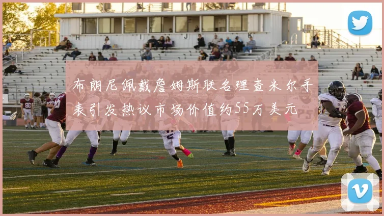 布朗尼佩戴詹姆斯联名理查米尔手表引发热议市场价值约55万美元